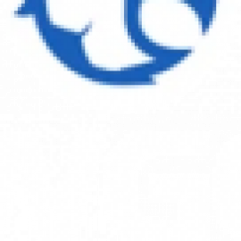 Profile photo of kivizomogo39.440@gmail.com