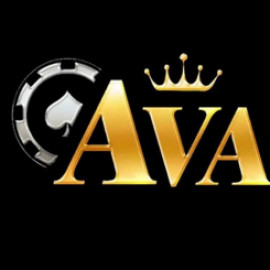 Profile photo of ngobinh3110o@gmail.com