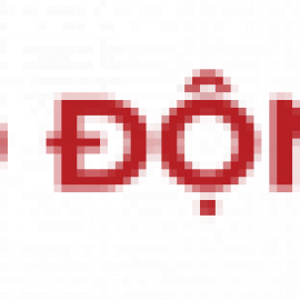 Profile picture of thegioibhldmienbac01@gmail.com