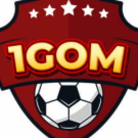 Profile picture of gommostinternationalmba1@gmail.com