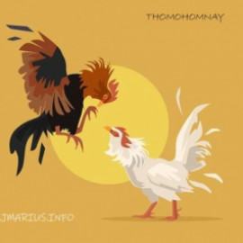 Profile picture of vokimngan2298@gmail.com