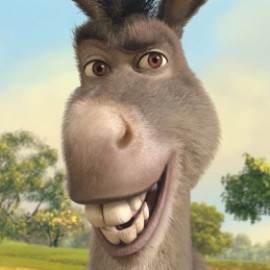 Profile photo of b9e9s9t@gmail.com