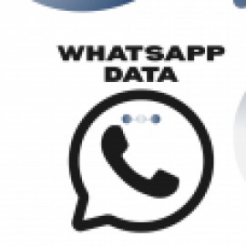 Profile picture of seo955957@gmail.com