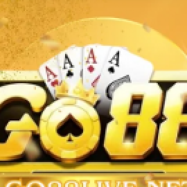 Profile picture of bachhamngo@gmail.com