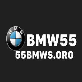 Profile picture of 55bmwsorg1@gmail.com