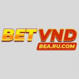 Profile picture of betvndbearucom@gmail.com