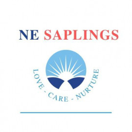 Profile picture of nesaplings01@gmail.com