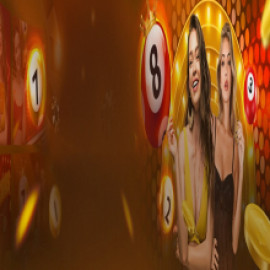 Profile picture of phucminhd622@gmail.com