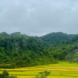 Profile picture of fu.nnyh.o.us.e.bds@gmail.com