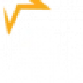 Profile photo of samueliy3pkigfet6bqks@gmail.com