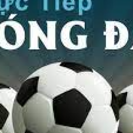 Profile picture of joseph.scmxrk0wh19d2xx@gmail.com