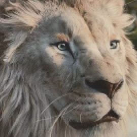 Profile photo of hunterharry808@gmail.com