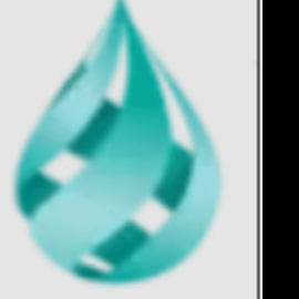 Profile photo of dogandcatallergy001@gmail.com