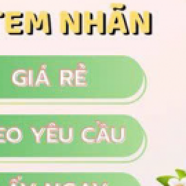 Profile photo of th.egioituigiayvn@gmail.com