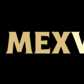 Profile picture of mexvip.game@gmail.com