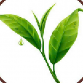 Profile photo of hanhandri.nks05@gmail.com