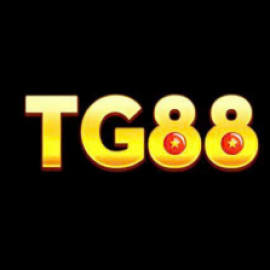 Profile picture of haiphucpham47@gmail.com