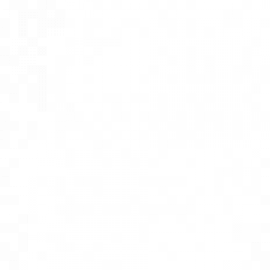 Profile picture of phamthoa.i9494040@gmail.com