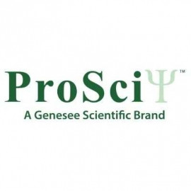 Profile picture of prosciinc0@gmail.com