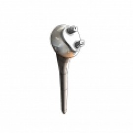 Profile photo of rriot