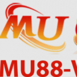 Profile photo of alferdsqsdfcv@gmail.com