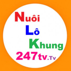 Profile photo of nuoilokhung247tvtv@gmail.com
