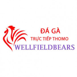 Profile picture of vinhcity20600@gmail.com