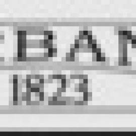 Profile photo of sahannarabegum986@gmail.com