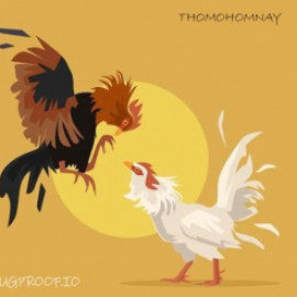 Profile photo of huyyhoanggg25@gmail.com