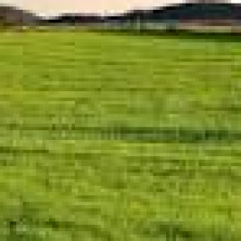 Profile picture of reeltor410@gmail.com