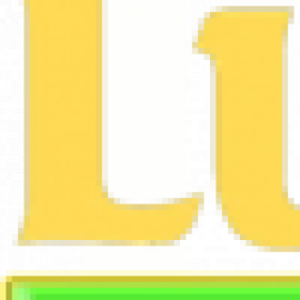 Profile photo of 0huyn.ht.h.u8484@gmail.com