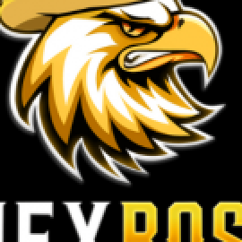 Profile picture of mexboss.game@gmail.com