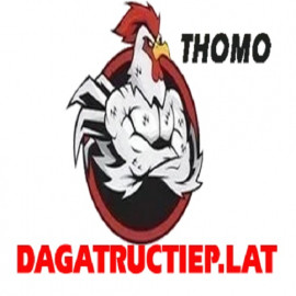 Profile photo of doanybrnfquyen@gmail.com