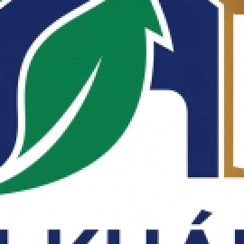 Profile photo of vistana.m.an.k.hanh@gmail.com