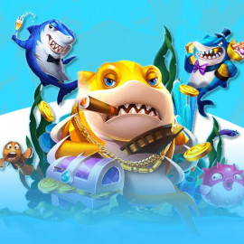 Profile photo of winboxwow@gmail.com