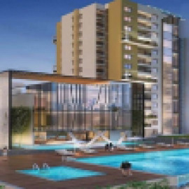 Profile photo of purvacodenamebliss@gmail.com