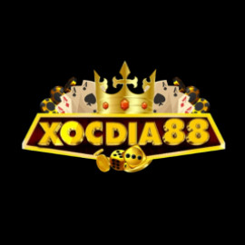 Profile picture of nguyenhainam2219s@gmail.com