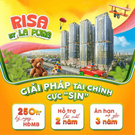 Profile photo of quoc.t.r.andx1@gmail.com