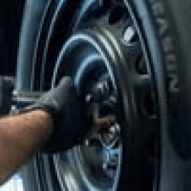 Profile photo of donglopxehoi@gmail.com