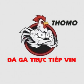 Profile picture of tl40175785650@gmail.com