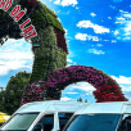 Profile photo of gon.za.le.zmatthewkreix7435@gmail.com