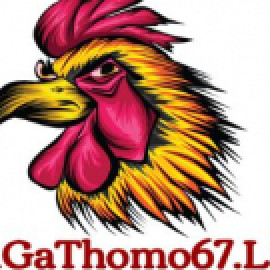 Profile photo of hdaoduy895@gmail.com