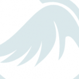 Profile picture of vernitabrain@gmail.com