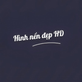 Profile picture of ngahoangy7248@gmail.com