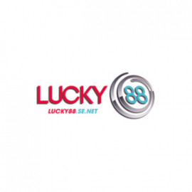 Profile photo of alex476436@gmail.com