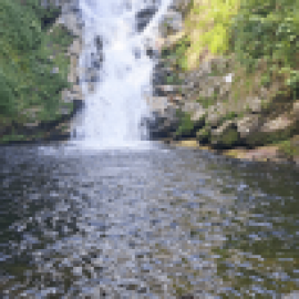 Profile photo of ngu.y.en.j.osser@gmail.com