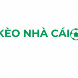 Profile photo of drsbydrtyb7865@gmail.com