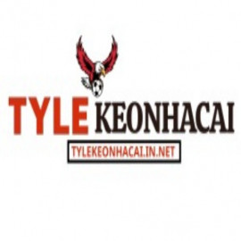 Profile picture of tylekeonhacaiinnet@gmail.com