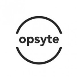 Profile photo of marketing.opsyte@gmail.com