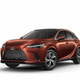 Profile picture of moosarentacar1@gmail.com